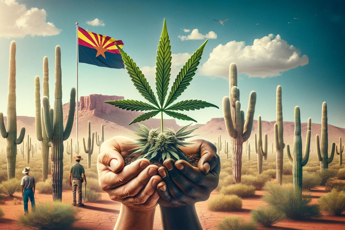 deșert în Arizona SUA