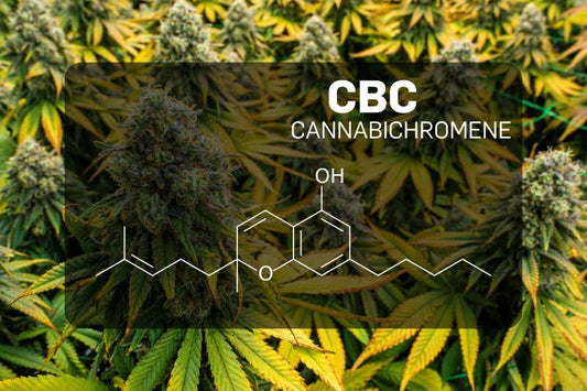 Canabicromen (CBC)