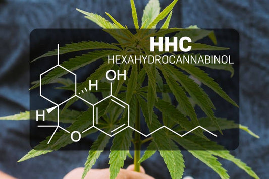 Structura chimică a HHC (Hexahidrocannabinol)