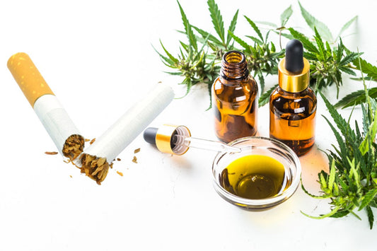 Țigareta ruptă împreună cu uleiul CBD.