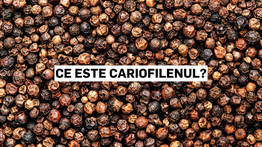 Ce este cariofilenul?