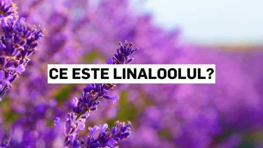 Ce este linaloolul?