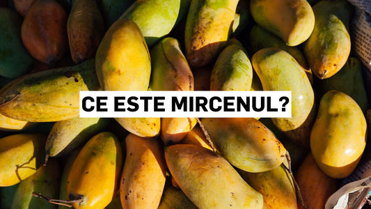 Ce este mircenul?