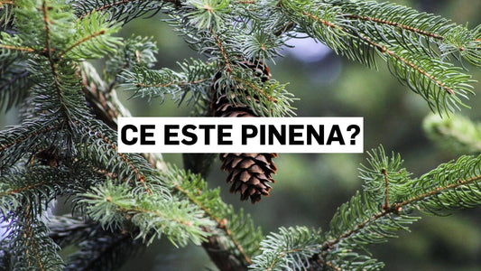 Ce este pinena?