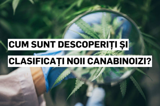 Cum sunt descoperiți și clasificați noii canabinoizi?