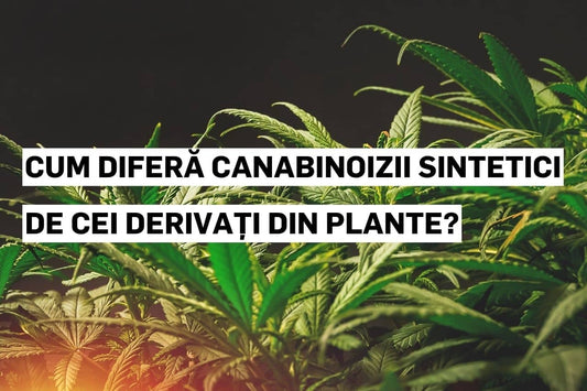 Comparație între canabinoizii sintetici și cei obținuți din plante naturale.