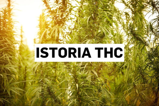 Istoria THC