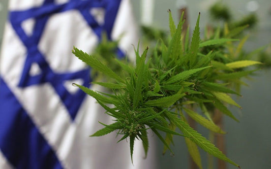 Noi reglementări privind canabisul medical în Israel