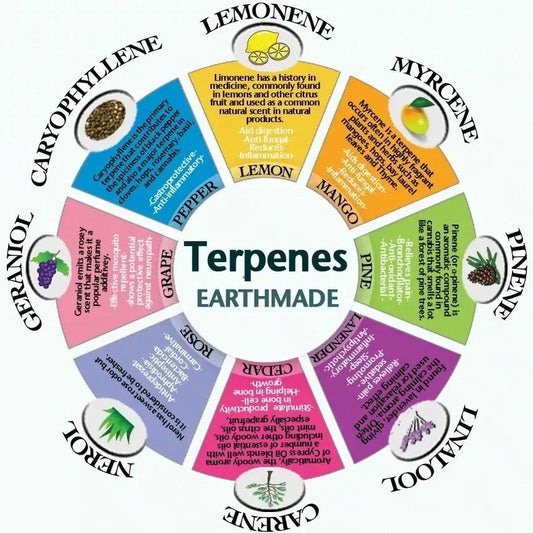 terpenes in cannabis