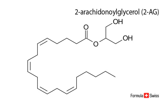 2-AG si anandamida - doi endocannabinoizi importanti