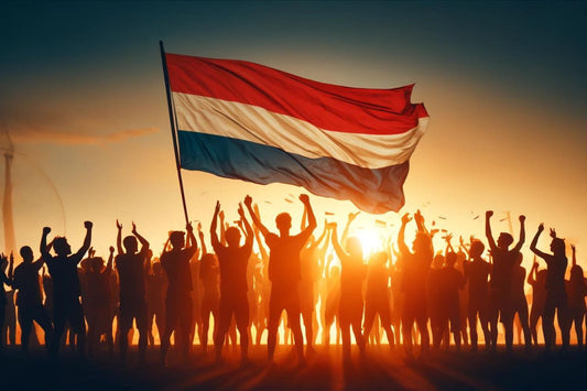 Grup de oameni care flutură steagul Olandei