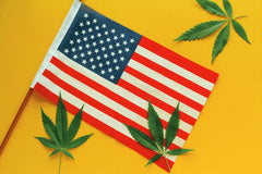 Steagul Statelor Unite ale Americii cu trei frunze de canabis