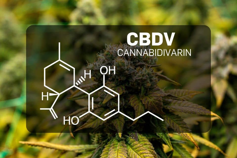 Structura chimică a canabidivarinei (CBDV)