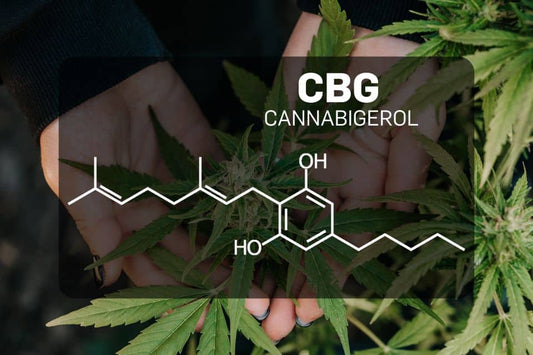 Imagine moleculară CBG