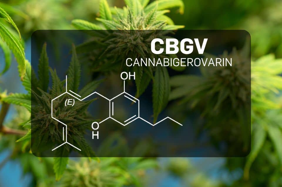 Structura chimică a Cannabigerivarinului (CBGV)