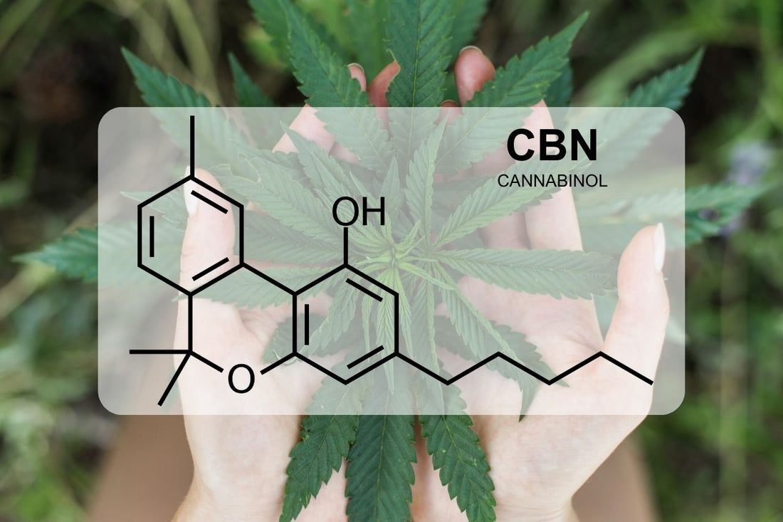 Ce este CBN (Cannabinol)?