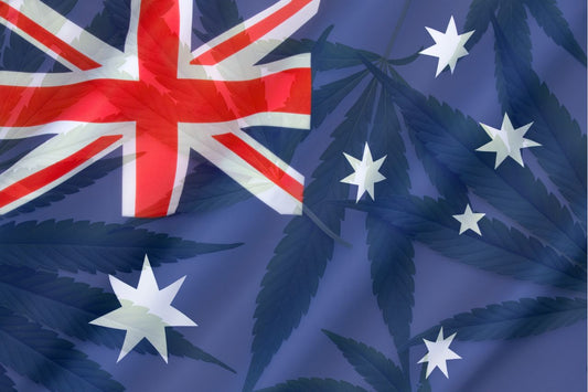 Steagul australian și frunze de canabis