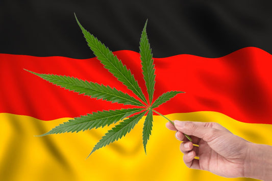 frunză de canabis în fața steagului german