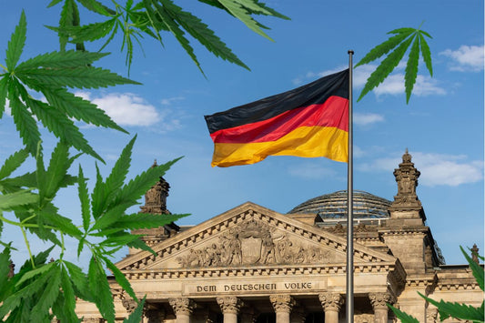 Frunză de canabis în fața Reichstagului
