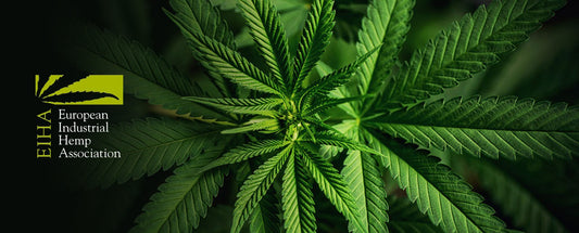 UE legalizează canabinoizii naturali pentru cosmetice