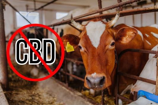  Interziceți semnul CBD la o fermă de lapte