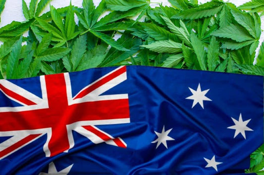 Frunze de cannabis și steagul Australiei