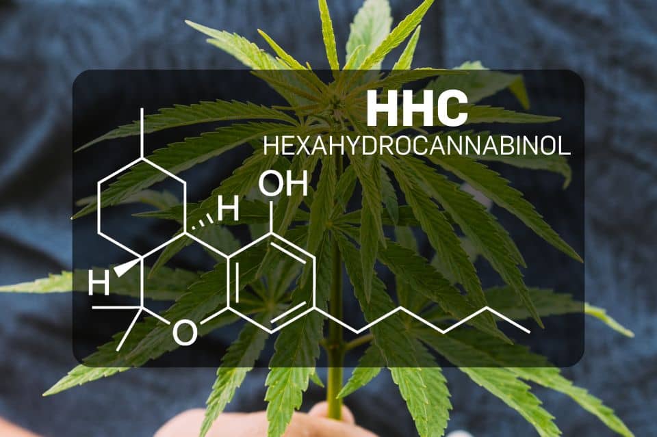 Structura chimică a HHC (Hexahidrocannabinol)