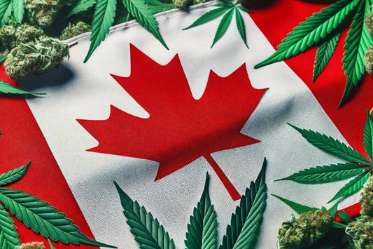 Steagul canadian și frunze de canabis