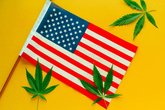 Steagul american cu frunze de cannabis