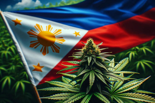 Planta de canabis și steagul filipinez