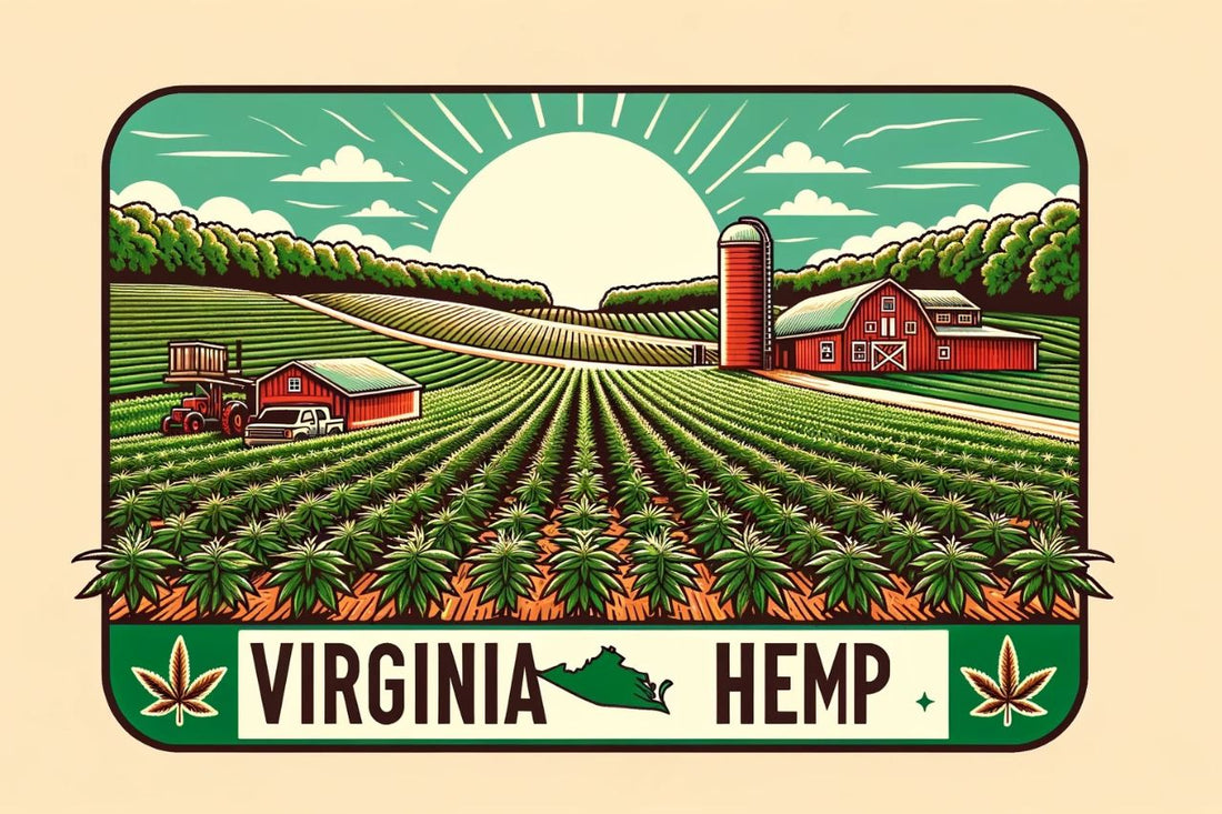 Un desen al unei ferme de cânepă din Virginia