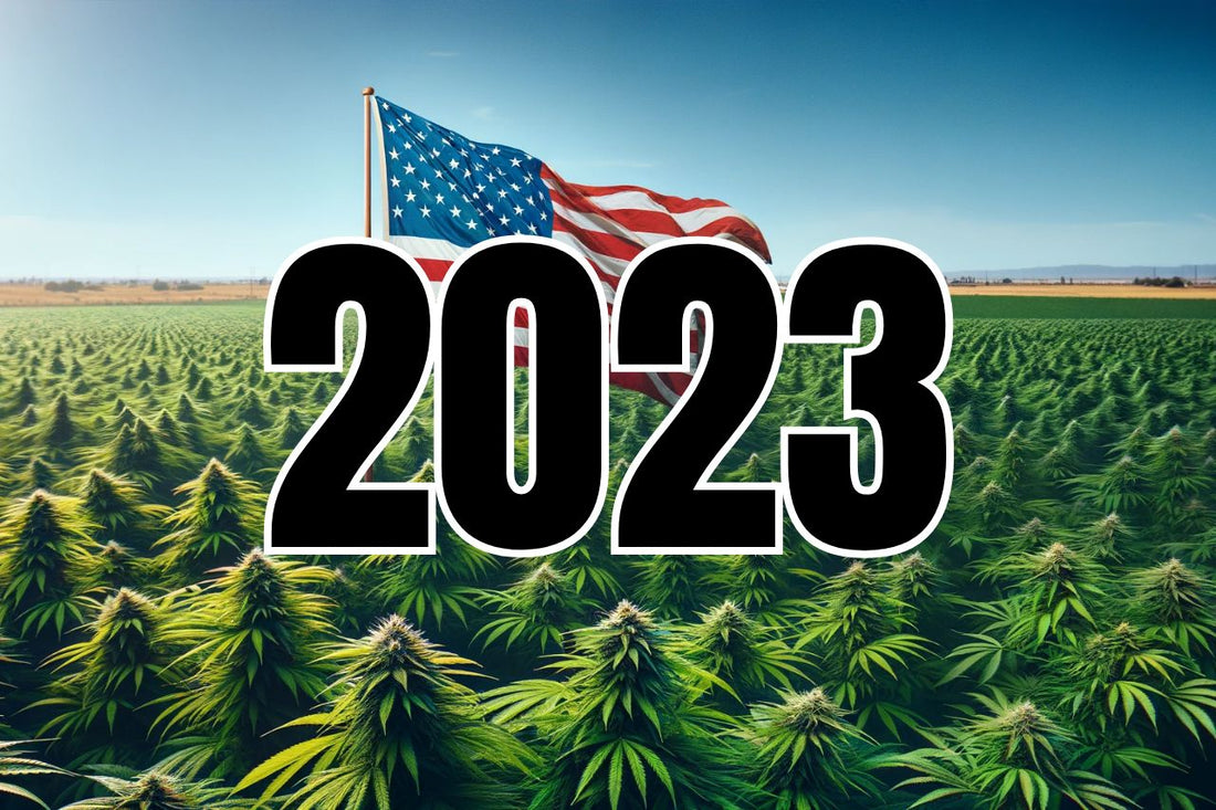 Legislația americană privind canabisul 2023