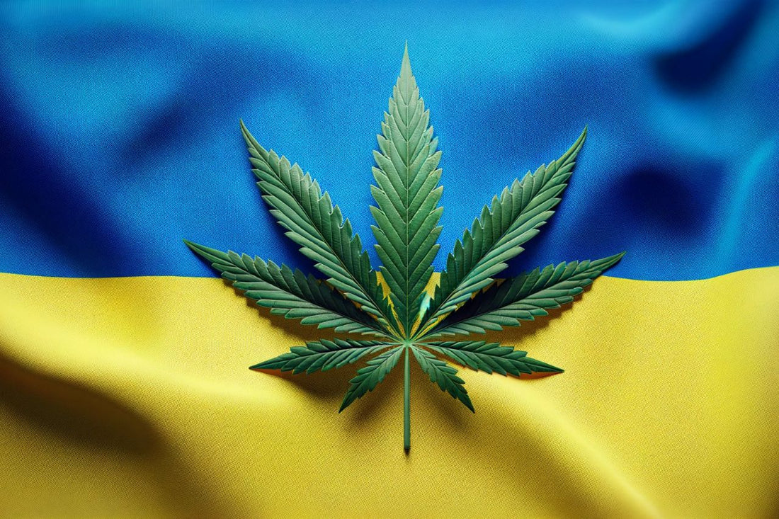 Steagul ucrainean și frunza de canabis