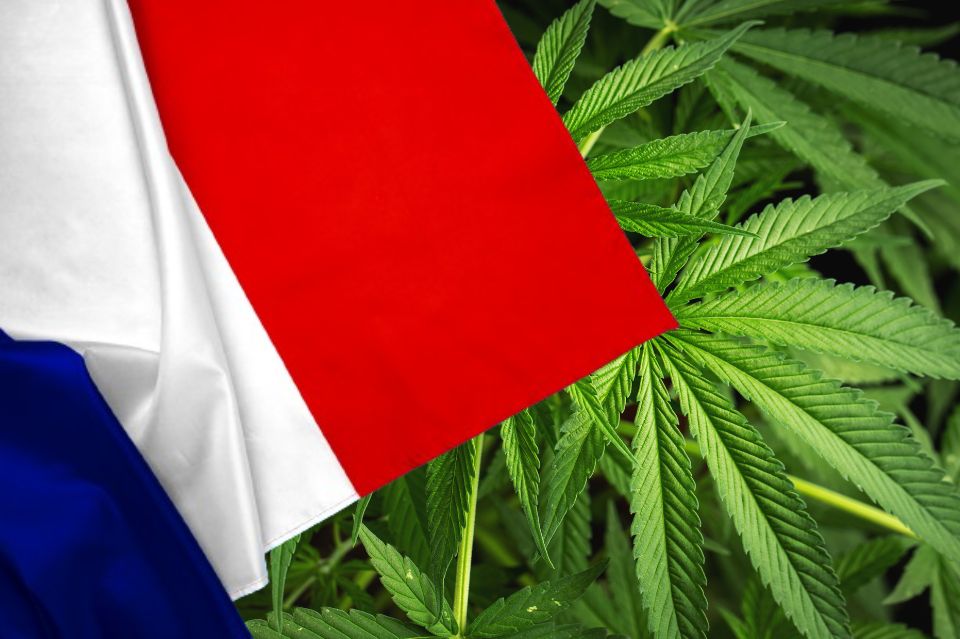 Steagul Franței în fața unor frunze de canabis