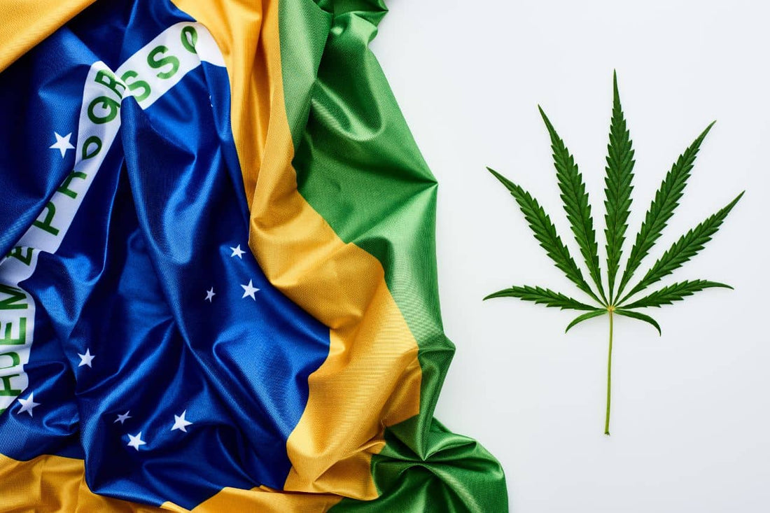 Steagul Braziliei și frunza de cannabis