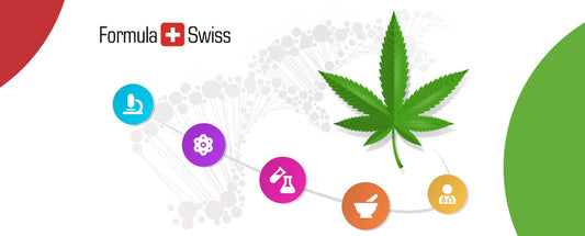 Comunicat de presă: Cercetătorii olandezi se asociază cu compania  Swiss cannabis pentru cercetarea unor alternative sigure și naturale pentru rezolvarea problemelor de somn