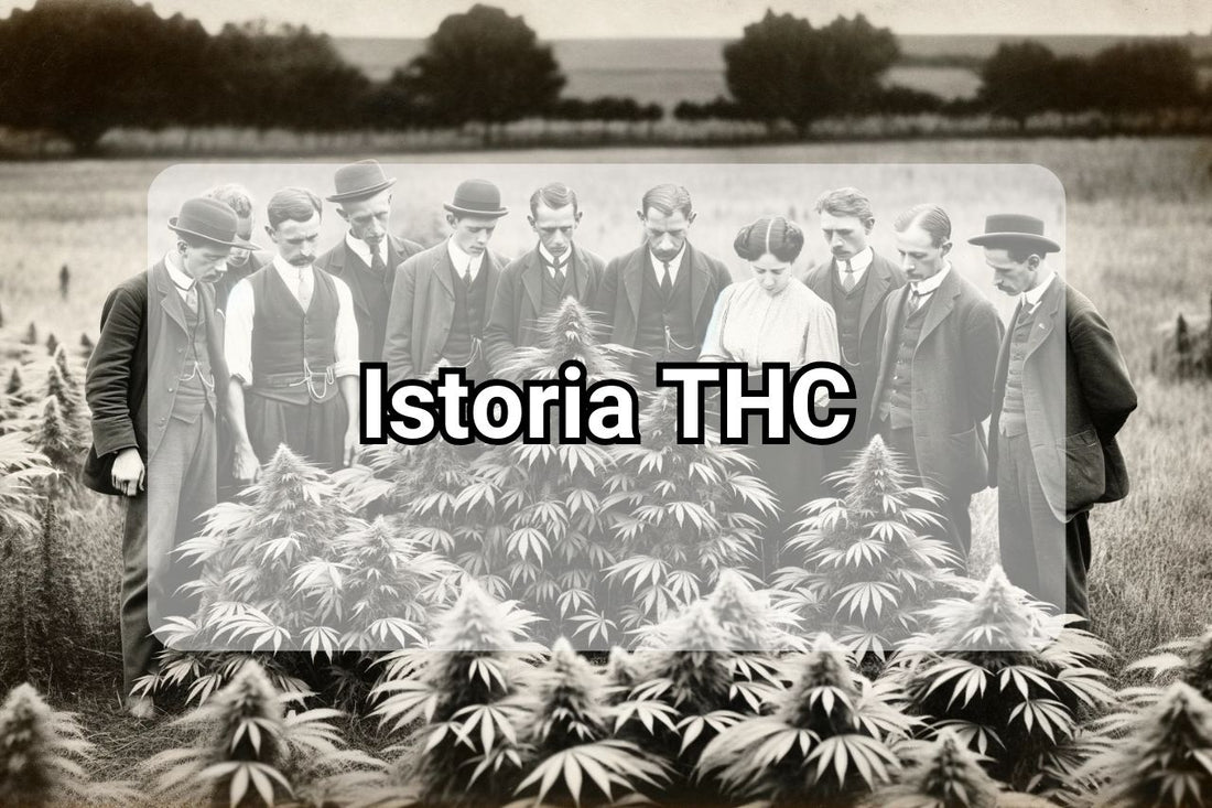 Istoria THC