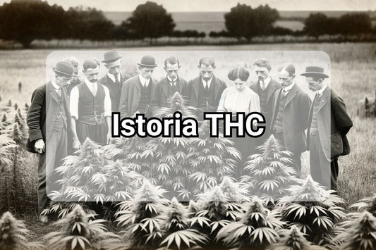 Istoria THC