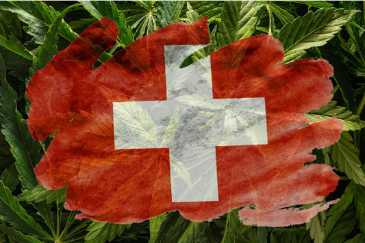 Steagul elvețian cu planta de canabis pe fundal