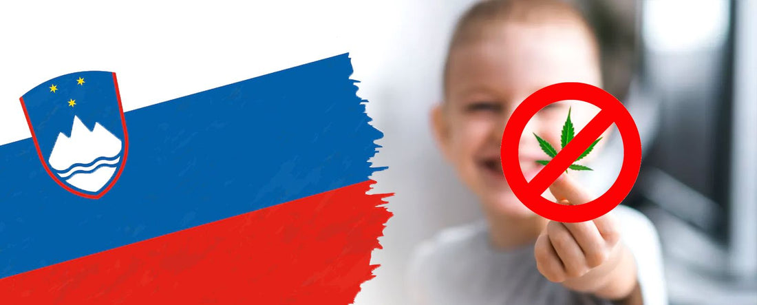Slovenia interzice CBD după ce producătorii locali otrăvesc copiii
