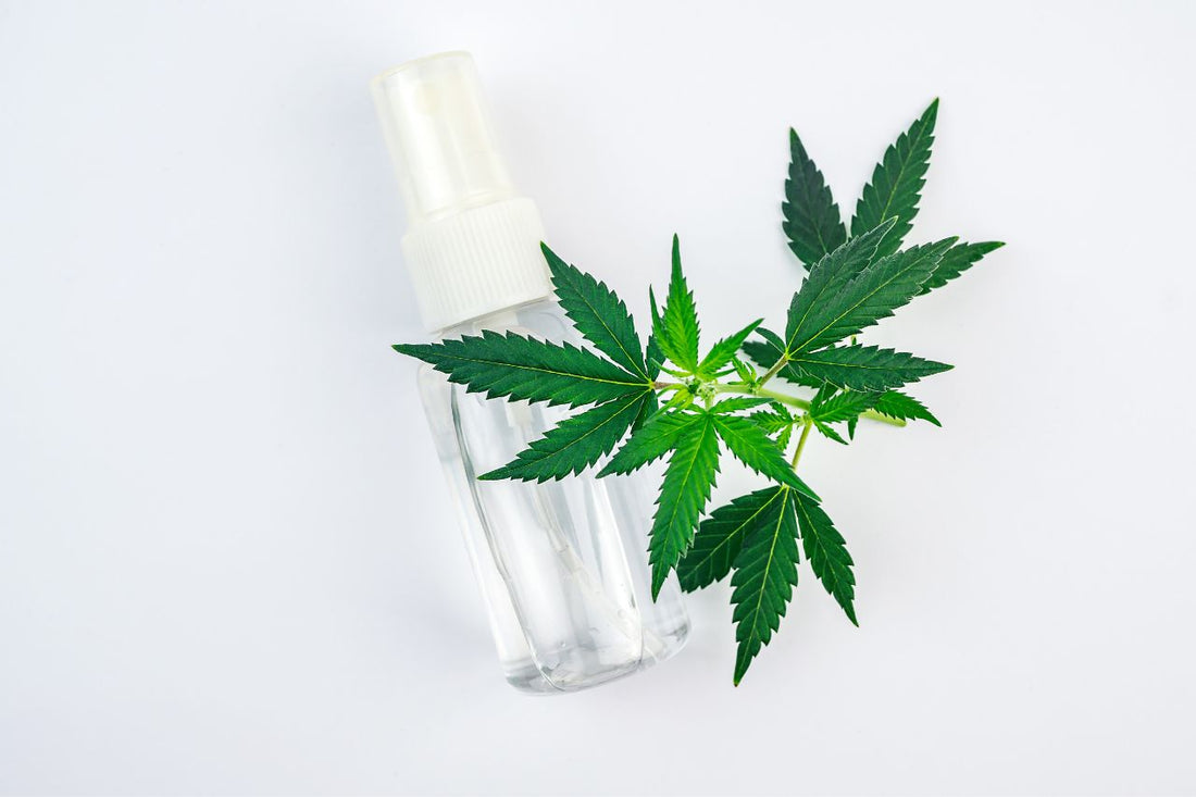 Spray de canabis: O rază de speranță