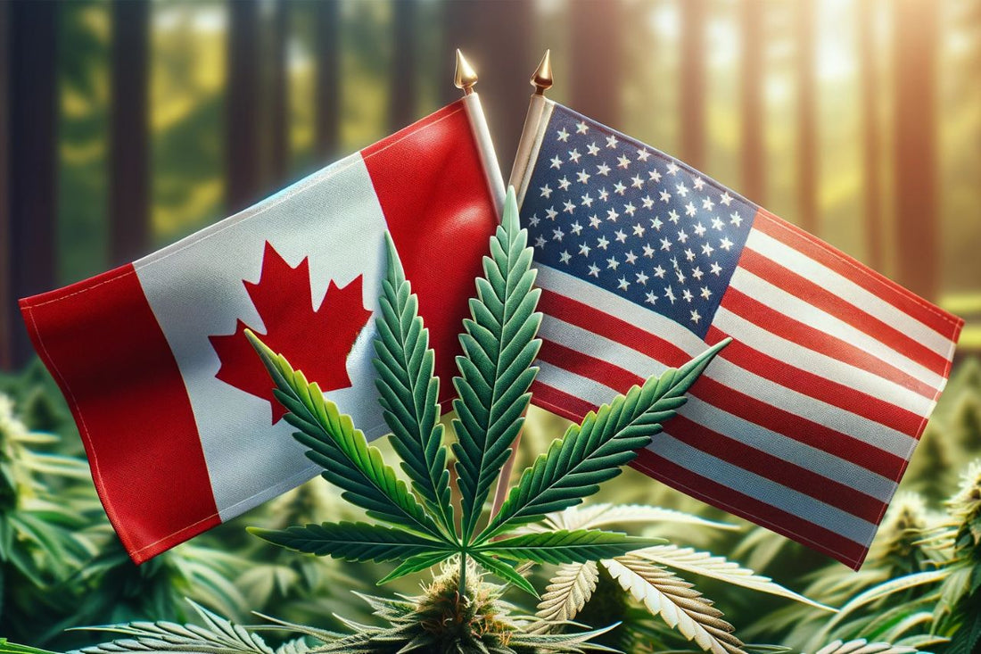 Steagul american și canadian