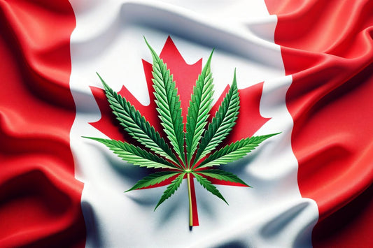 Frunză de canabis în fața steagului canadian