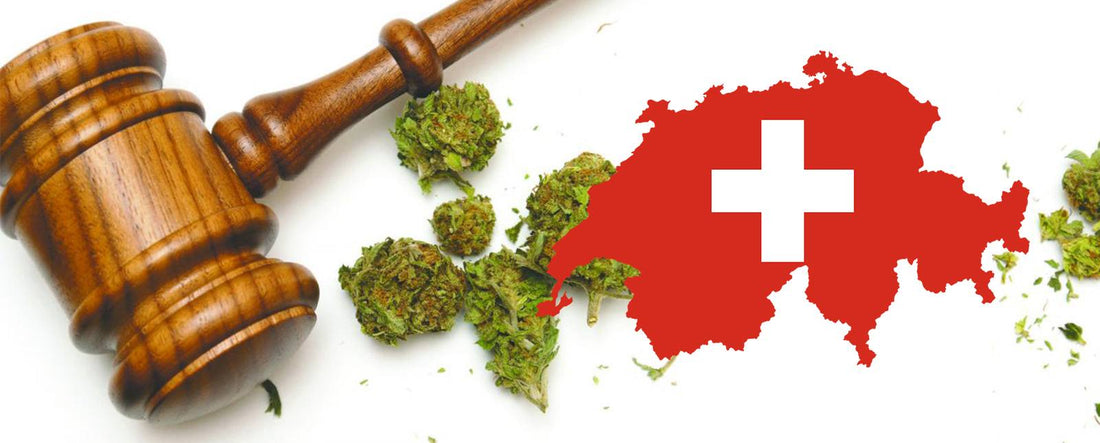 Elveția lucrează la legalizarea marijuanei medicale