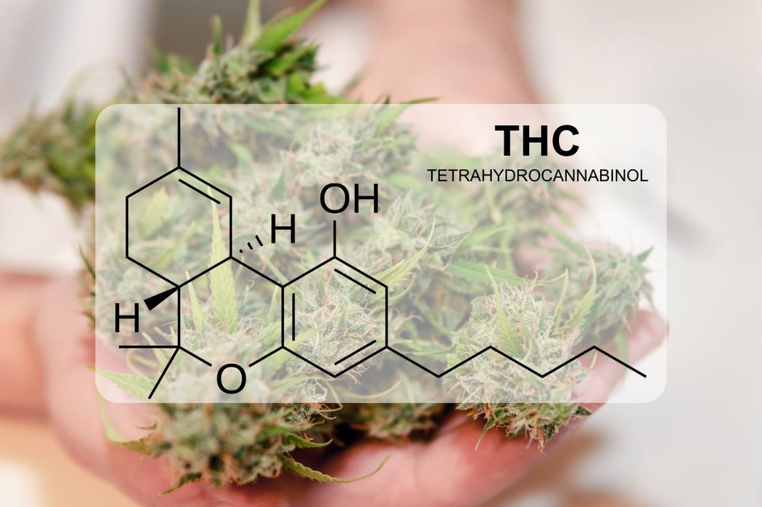 Ce este THC (Tetrahidrocannabinol)?