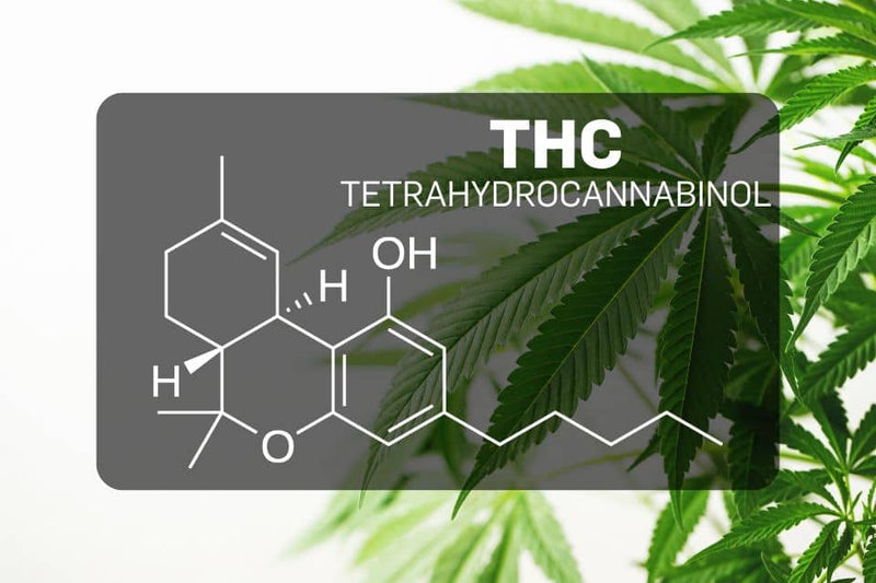 Formula chimică a THC (tetrahidrocanabinol) peste frunze de canabis