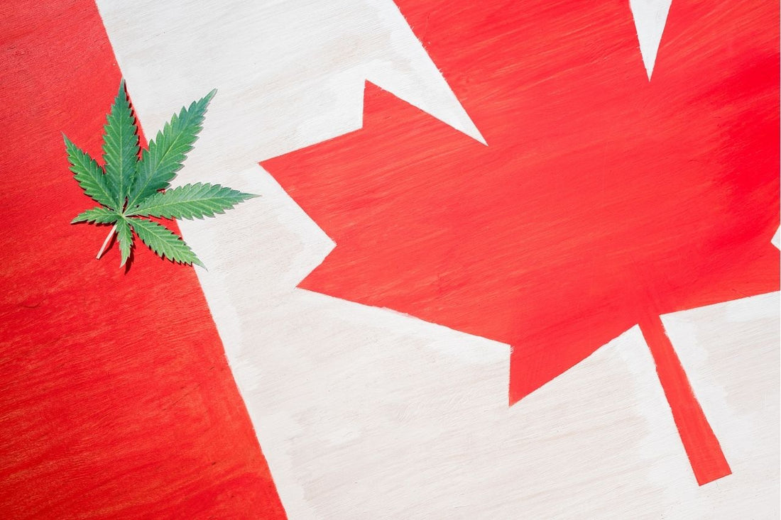 Frunză de canabis pe steagul canadian