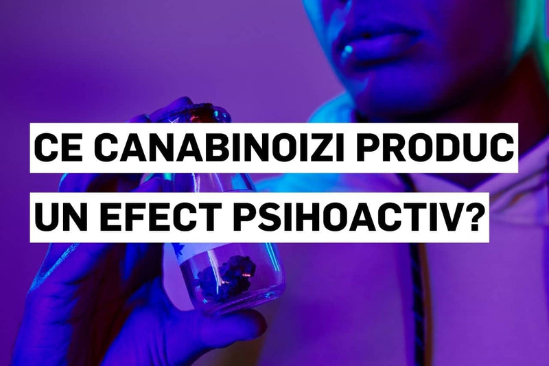 Ce canabinoizi produc un efect psihoactiv?