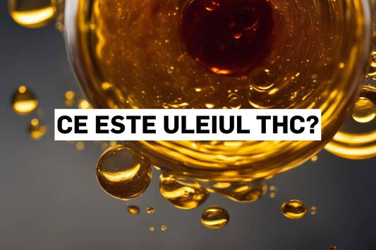 Ce este uleiul THC?