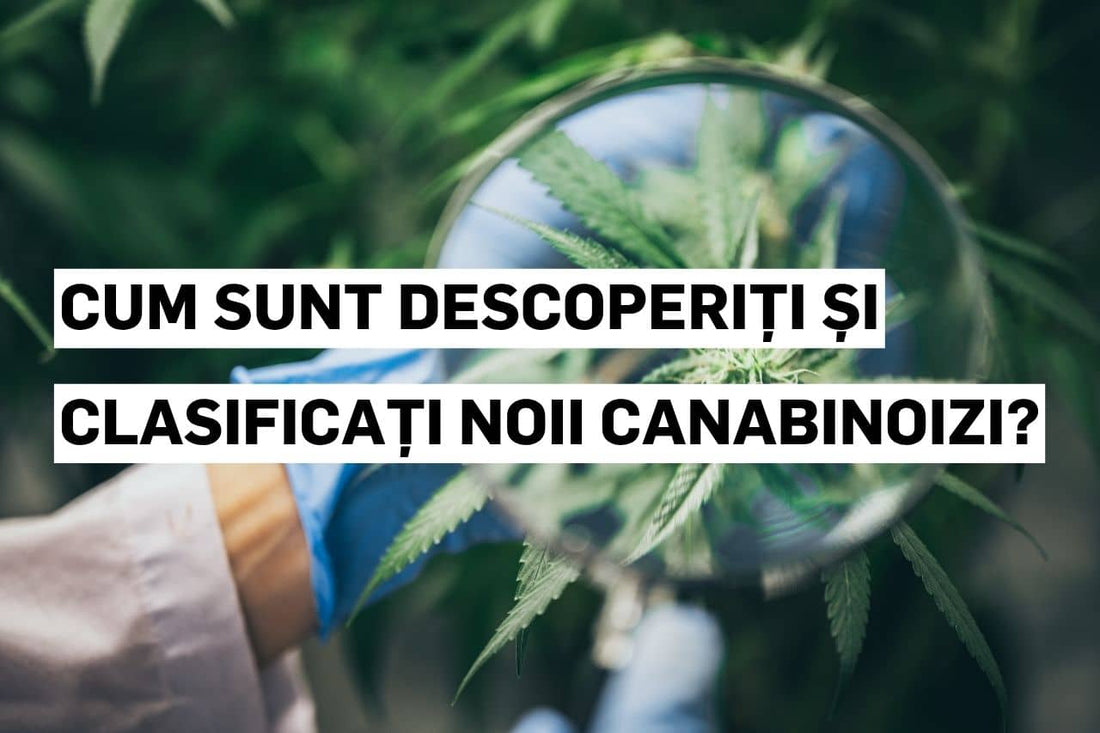 Cum sunt descoperiți și clasificați noii canabinoizi?